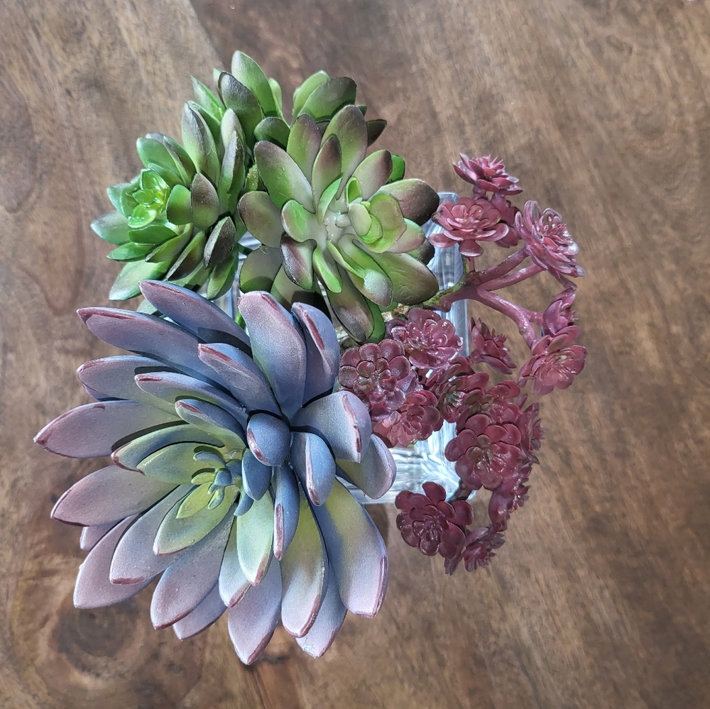 Faux Succulent Plants Set Of 3